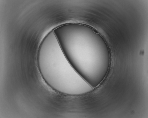 X0000111800896200907231207