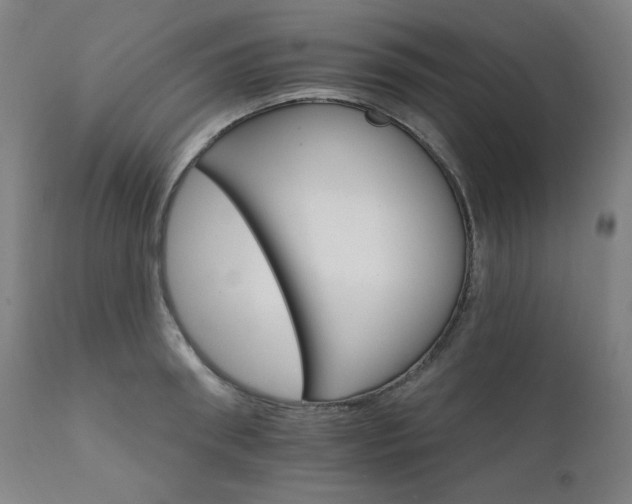 X0000111800898200907231207