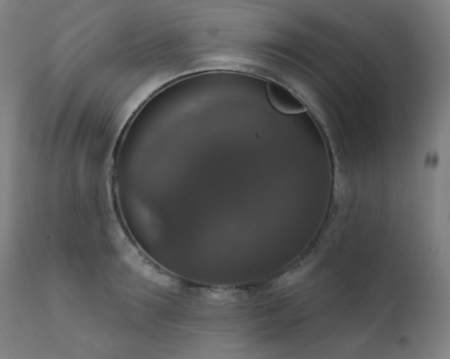X0000111800899200907231207
