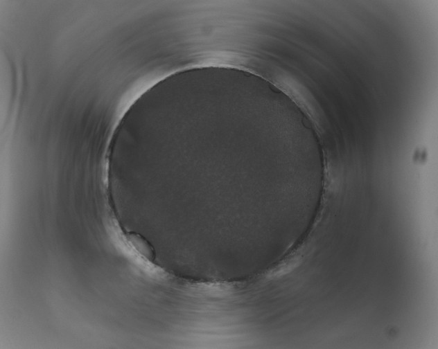 X0000111800900200907231207