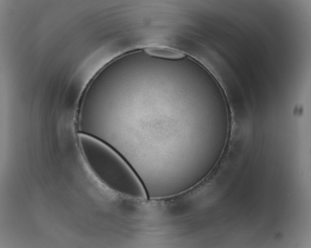 X0000111800901200907231207