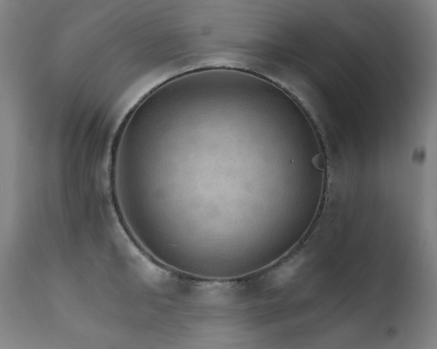 X0000111800902200907231207