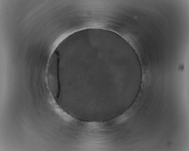 X0000111800904200907231207