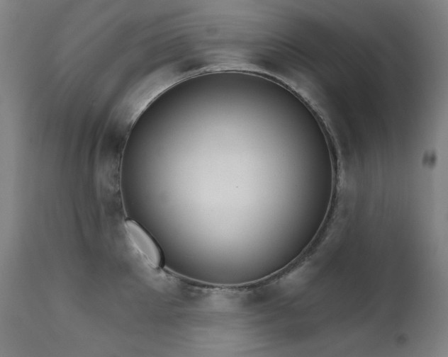 X0000111800905200907231207