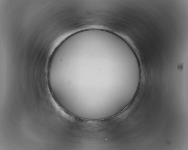 X0000111800910200907231207