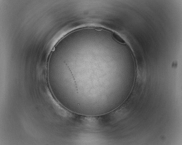X0000111800911200907231207