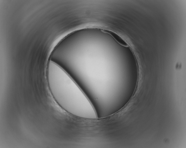 X0000111800912200907231207