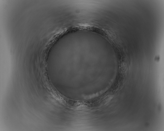 X0000111800913200907231206