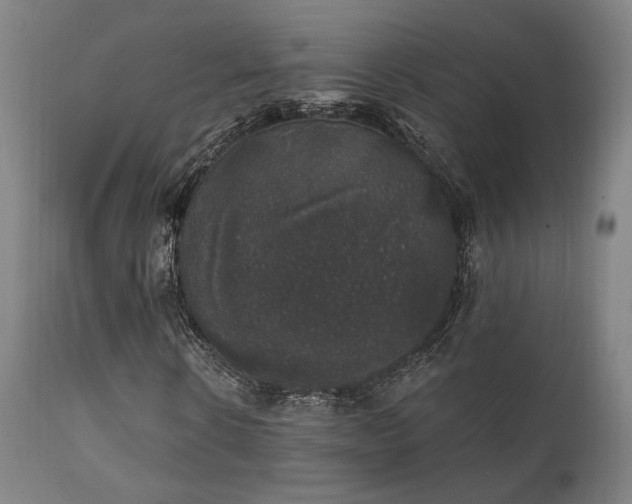 X0000111800914200907231206