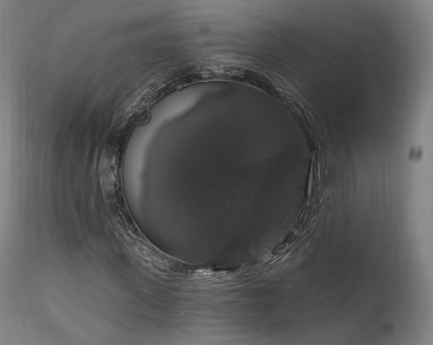 X0000111800915200907231206