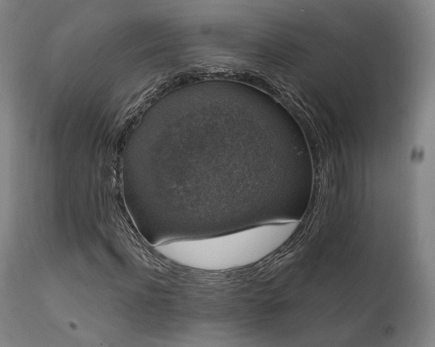 X0000111800916200907231206