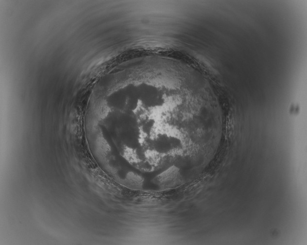 X0000111800917200907231206