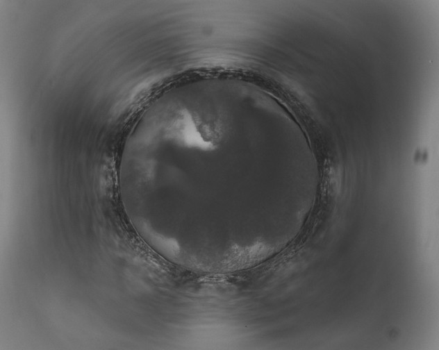 X0000111800918200907231206