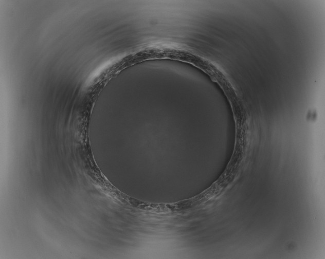 X0000111800919200907231206