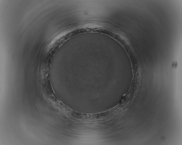 X0000111800920200907231206