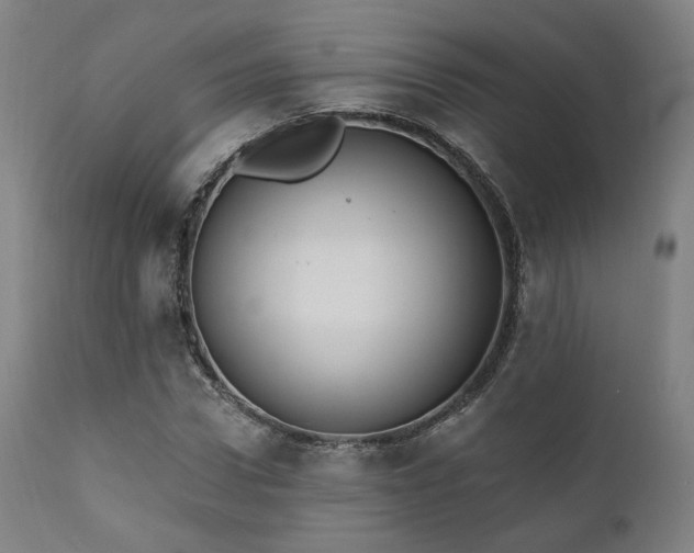 X0000111800922200907231206