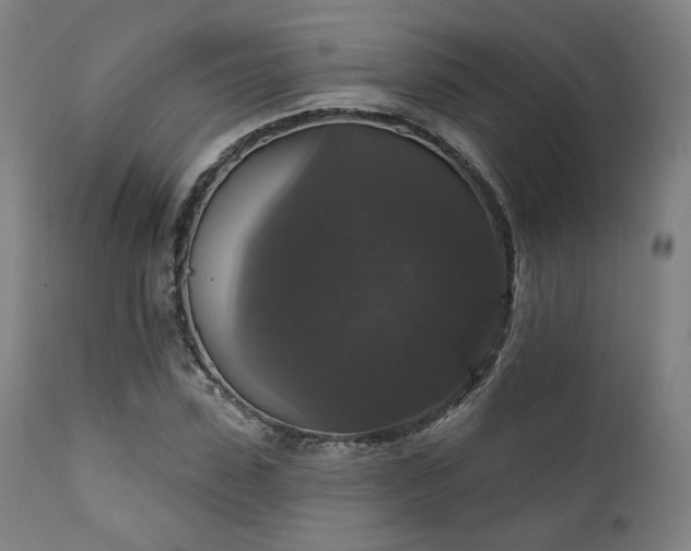 X0000111800923200907231206