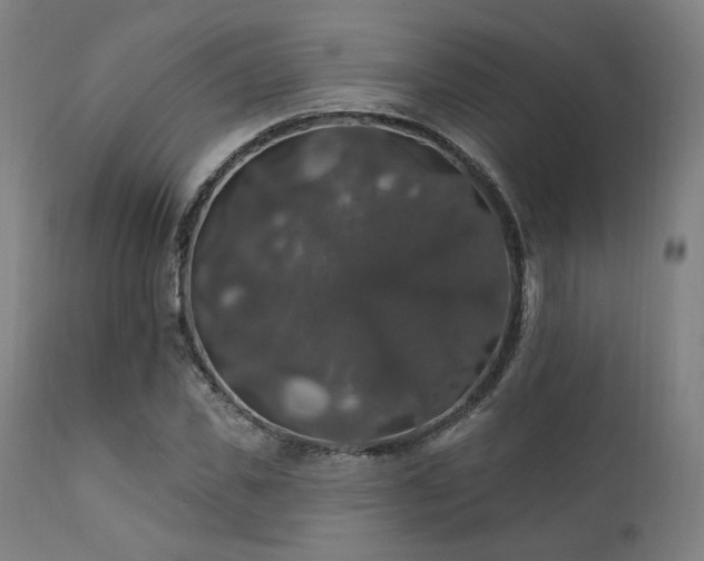 X0000111800925200907231206