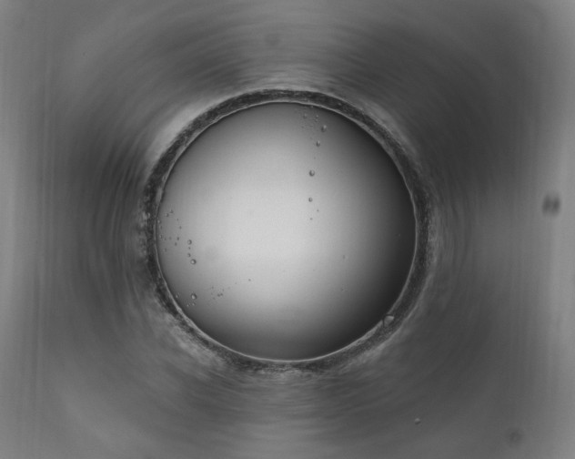 X0000111800926200907231206
