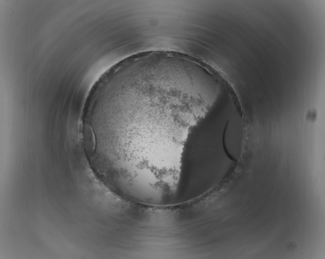 X0000111800928200907231206