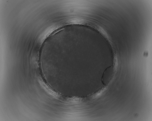 X0000111800930200907231206