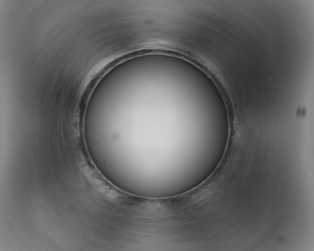 X0000111800931200907231206
