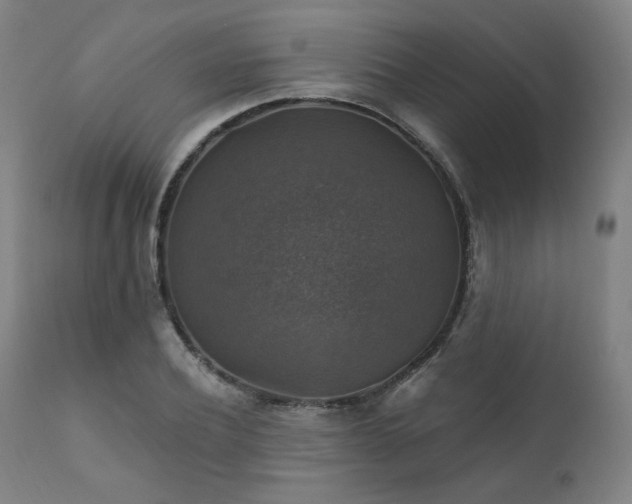 X0000111800932200907231206