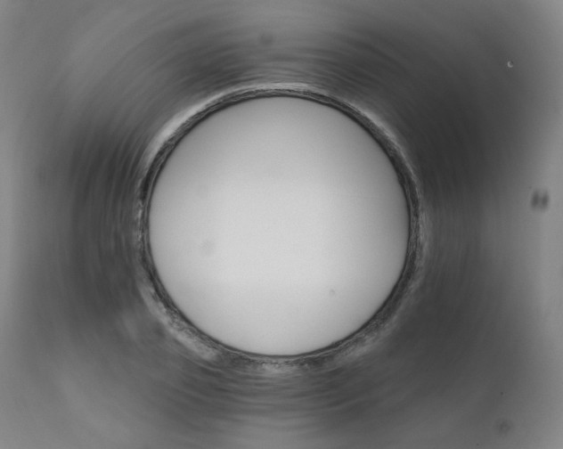 X0000111800933200907231206