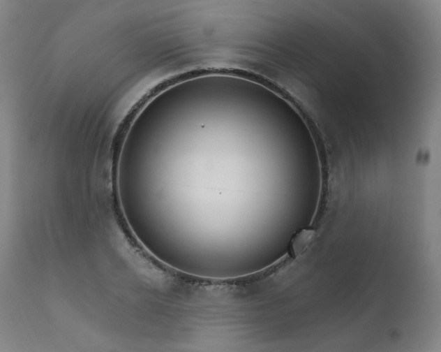X0000111800934200907231206