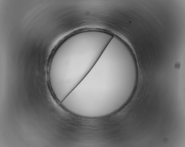 X0000111800935200907231206