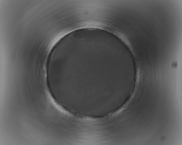 X0000111800936200907231206