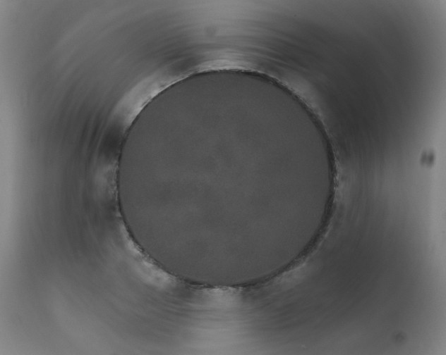 X0000111800937200907231206