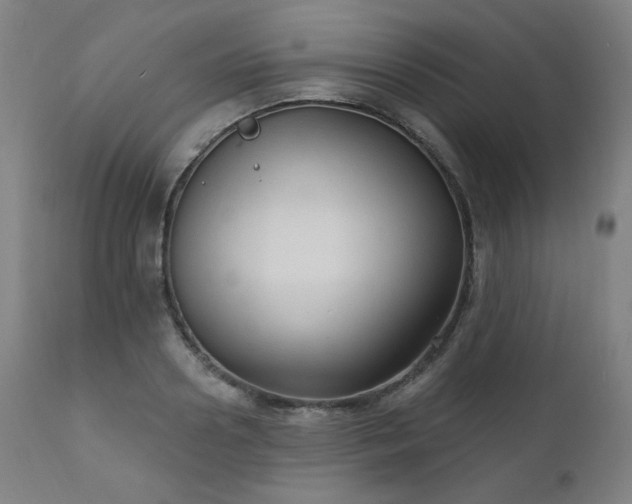 X0000111800938200907231206