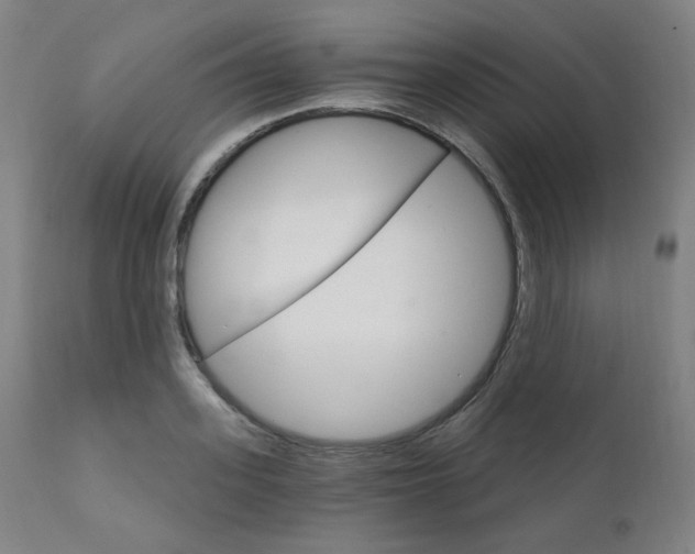 X0000111800939200907231206
