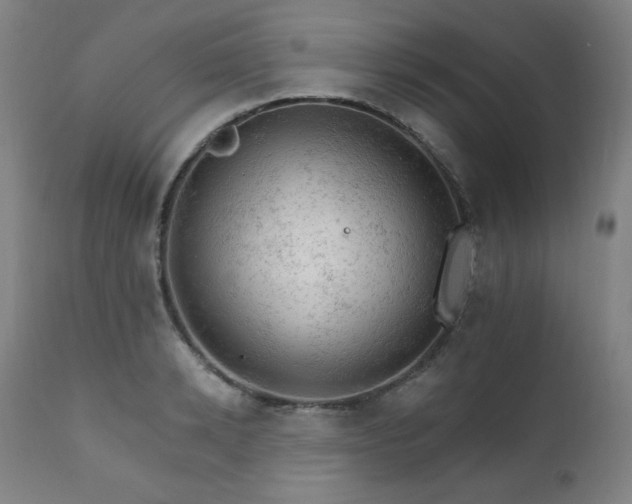 X0000111800942200907231206