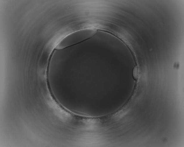 X0000111800946200907231206