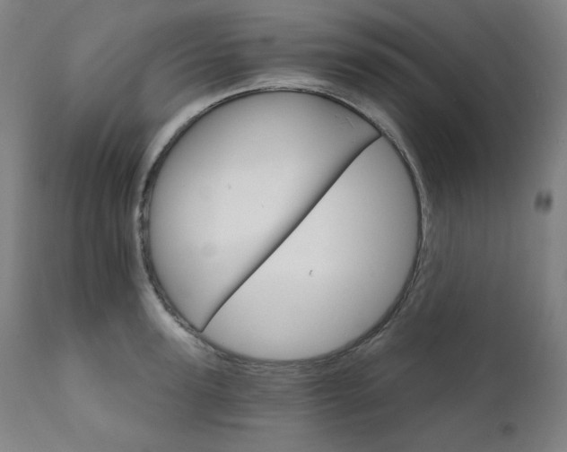 X0000111800947200907231206