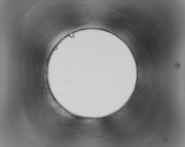 X0000111800950200907231206