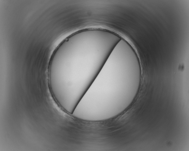 X0000111800951200907231206