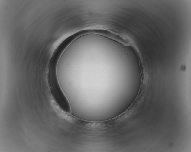 X0000111800952200907231206