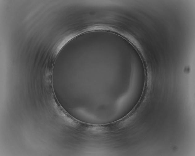 X0000111800953200907231206