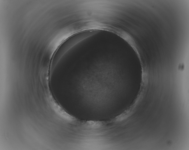X0000111800954200907231207