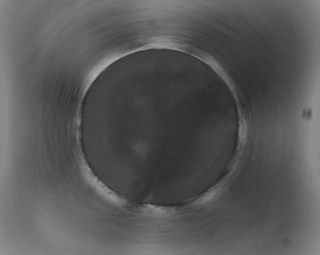 X0000111800955200907231207