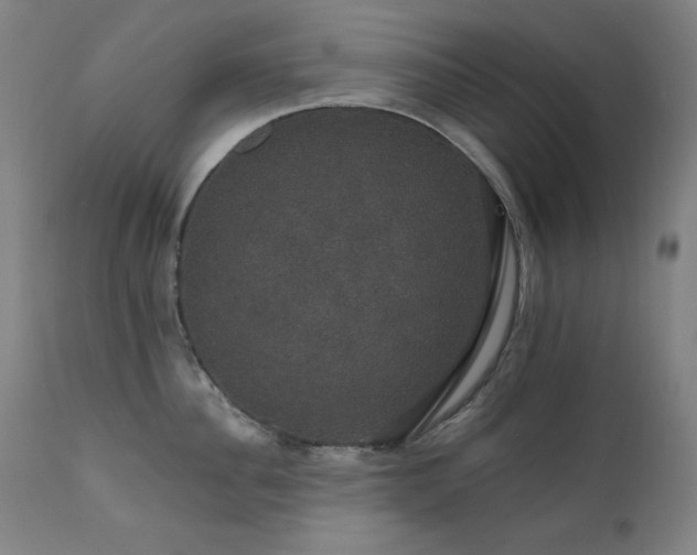 X0000111800956200907231207