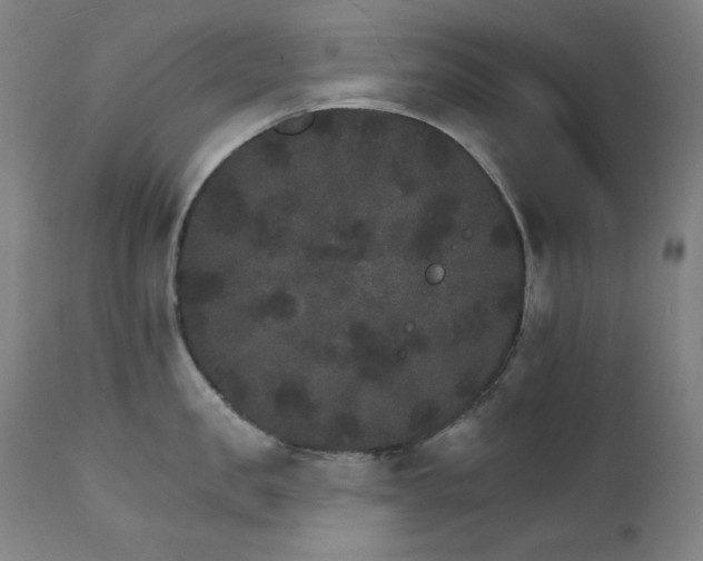 X0000111800957200907231207