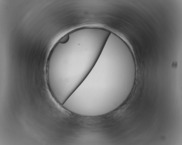 X0000111800959200907231207