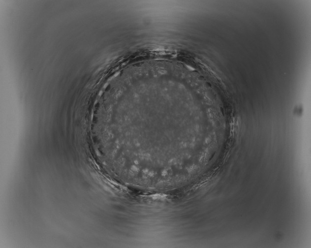 X0000111800961200907231206