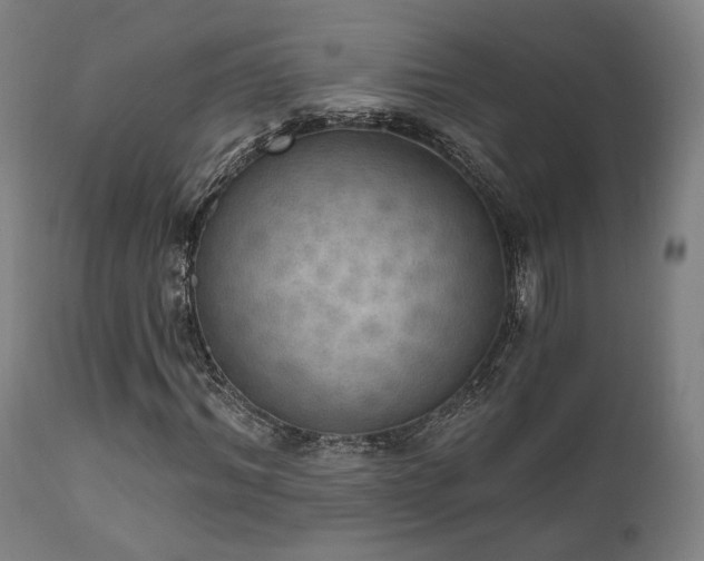 X0000111800964200907231206