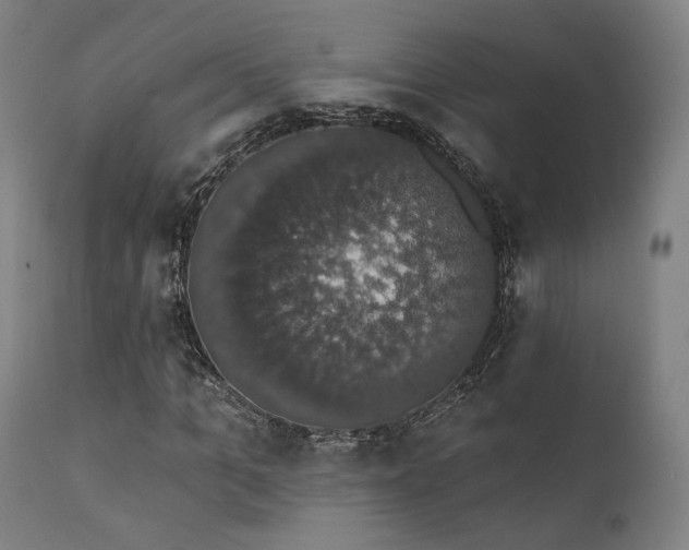 X0000111800965200907231206