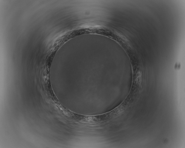 X0000111800966200907231206